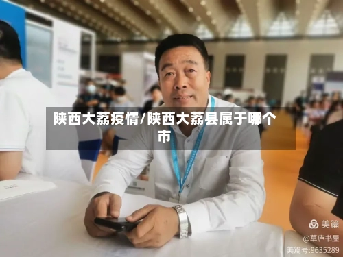 陕西大荔疫情/陕西大荔县属于哪个市-第2张图片