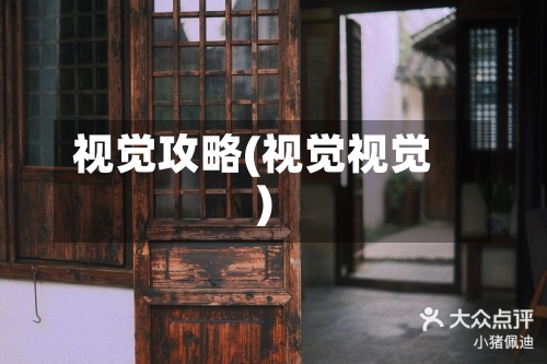 视觉攻略(视觉视觉)-第2张图片