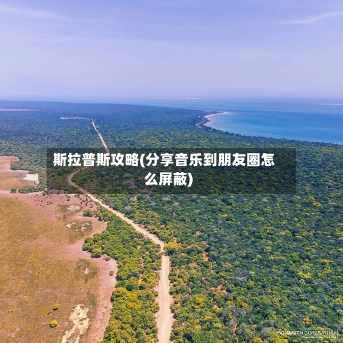 斯拉普斯攻略(分享音乐到朋友圈怎么屏蔽)-第2张图片