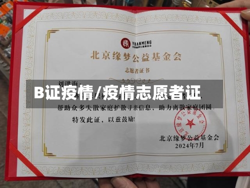 B证疫情/疫情志愿者证-第2张图片