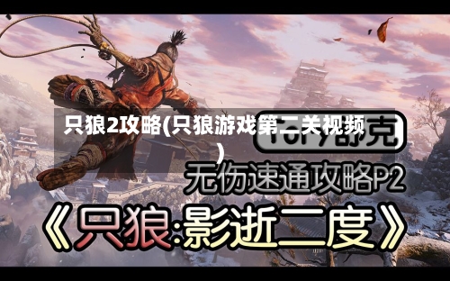 只狼2攻略(只狼游戏第二关视频)-第2张图片