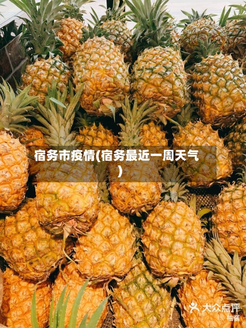 宿务市疫情(宿务最近一周天气)