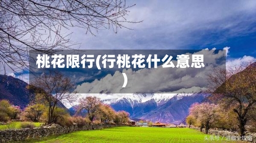 桃花限行(行桃花什么意思)-第2张图片