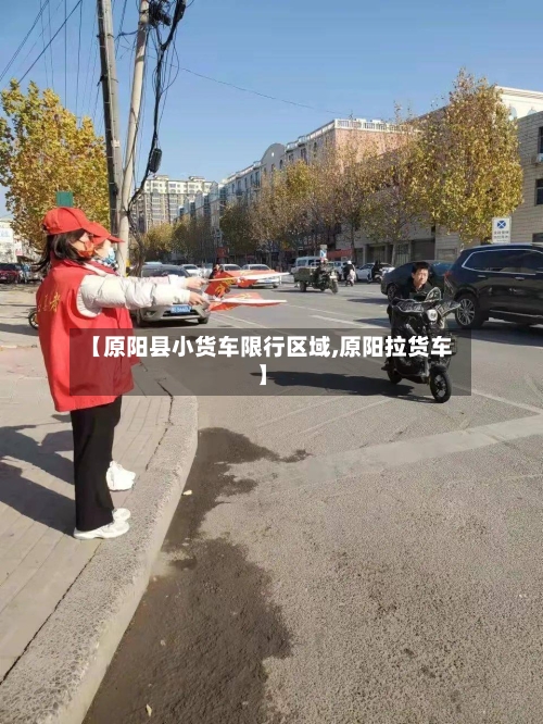 【原阳县小货车限行区域,原阳拉货车】