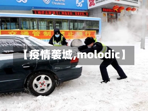 【疫情袭城,molodic】