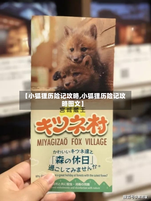 【小狐狸历险记攻略,小狐狸历险记攻略图文】