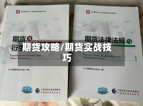 期货攻略/期货实战技巧