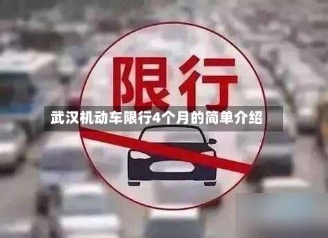武汉机动车限行4个月的简单介绍-第3张图片