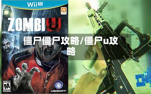 僵尸僵尸攻略/僵尸u攻略