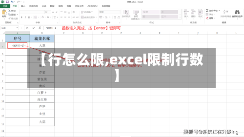 【行怎么限,excel限制行数】