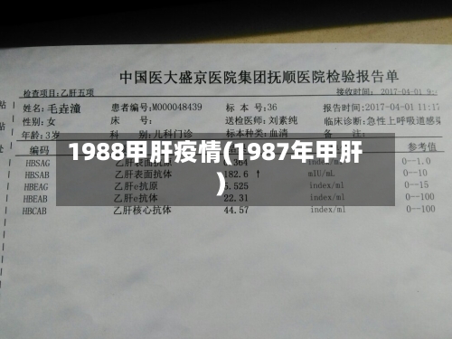 1988甲肝疫情(1987年甲肝)