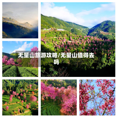 无量山旅游攻略/无量山值得去吗-第2张图片