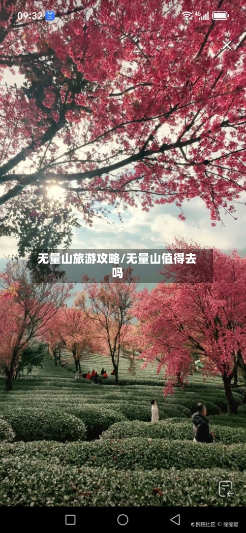无量山旅游攻略/无量山值得去吗